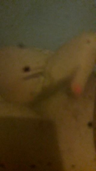 20240616_025105.mp4