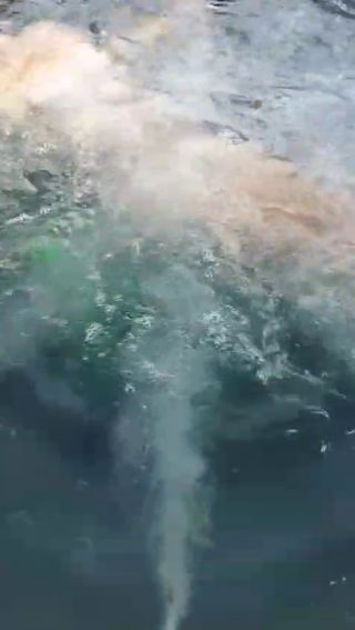 VID_20240625_211134.mp4