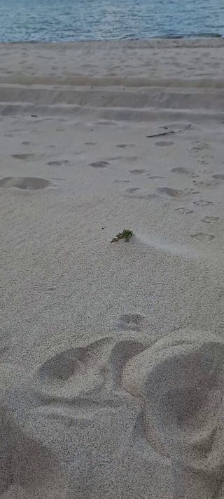 20240617_182033.mp4