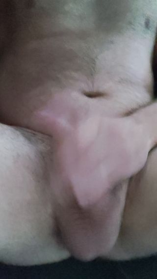 puchateKkl