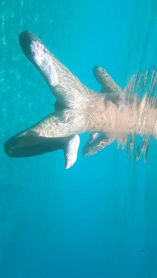 VID_20240818_150340.mp4