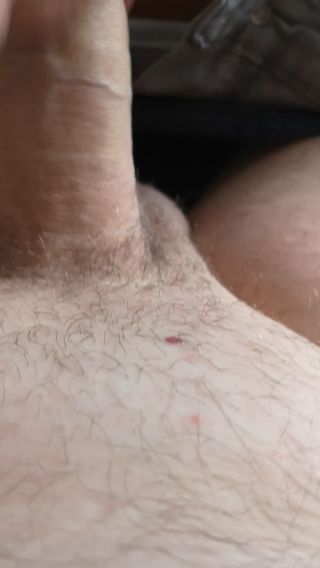Asia_Kubus