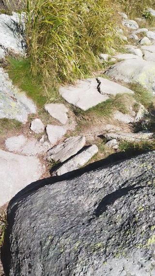 VID_20240922_145943.mp4