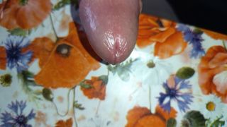 Pannpenisek1