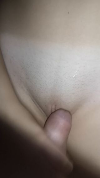 Peryt31
