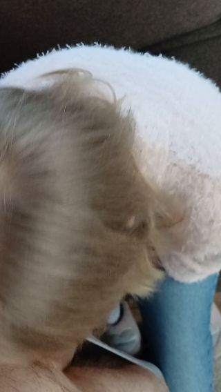 Milutka_Blondi_89