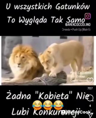 VideoCook_20250404_095205752.mp4