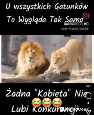 VideoCook_20250404_095205752.mp4