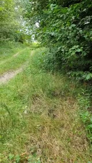 VID-20250416-WA0099.mp4