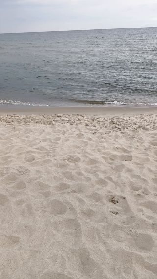 1000004774.mp4