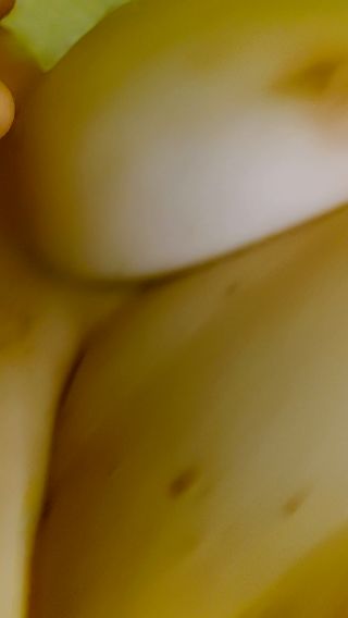 20231029_004445.mp4