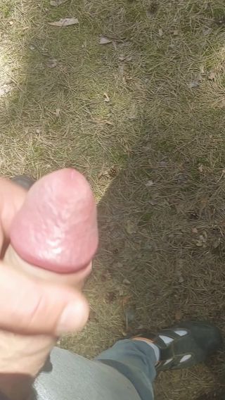 Panjachcik