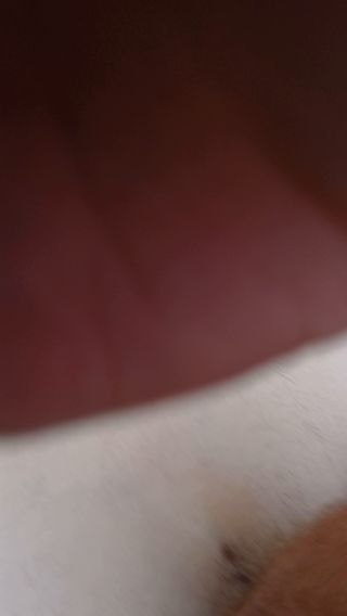 starszego33