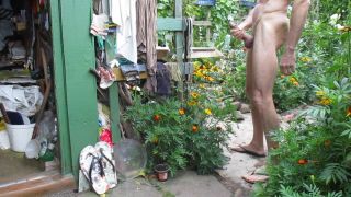 MVI_9484.MOV