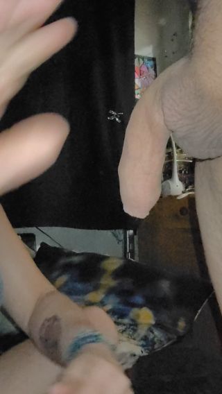 bany311