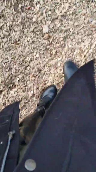 VID_20250929_033912_089.mp4
