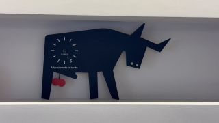 IMG_5533.mov