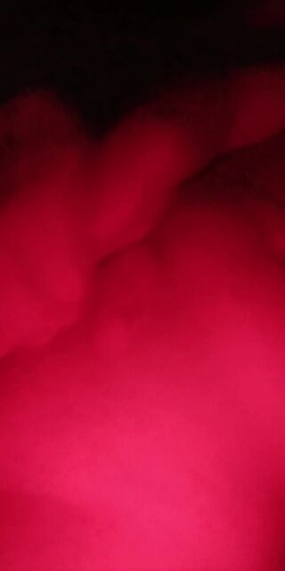 9e0328ed-29c0-4c98-a9c8-5122ee7cccba-1_all_506.mp4