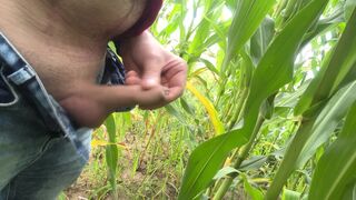 IMG_6302.mov
