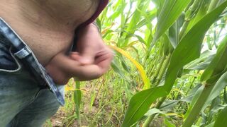 IMG_6302.mov