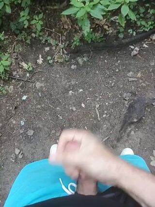 LIVE - 2026-07-29 15:50