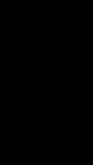 Paralpu2