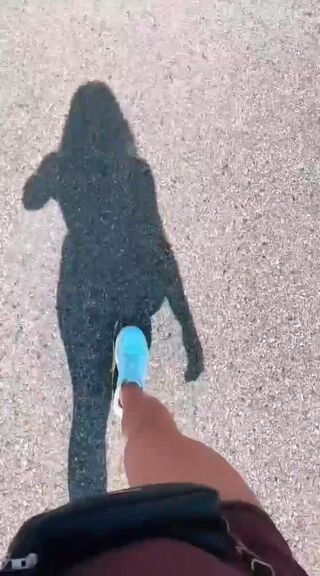 26494.mp4