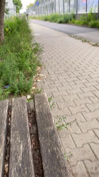 IMG_3556.mov