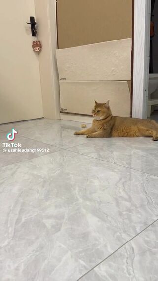 64f1a9abe90d35a0ef053d61918eb512.mp4