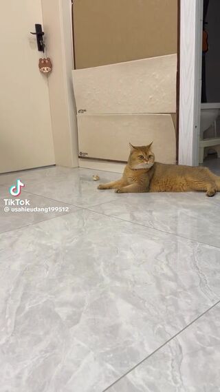 64f1a9abe90d35a0ef053d61918eb512.mp4