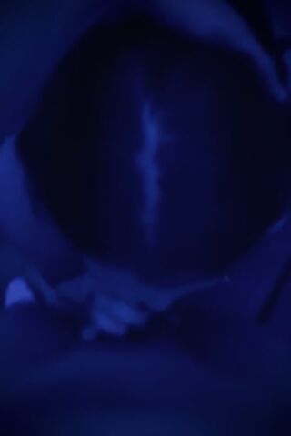 lavrxdam