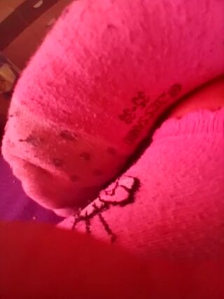 LIVE - 2026-09-28 08:02