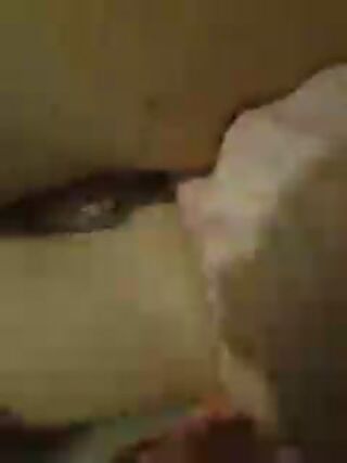 LIVE - 2026-10-03 04:36