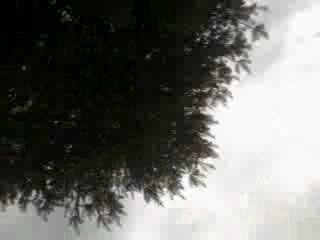 AnnaKrzych
